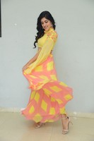 Dhanya Balakrishna New Photo Images